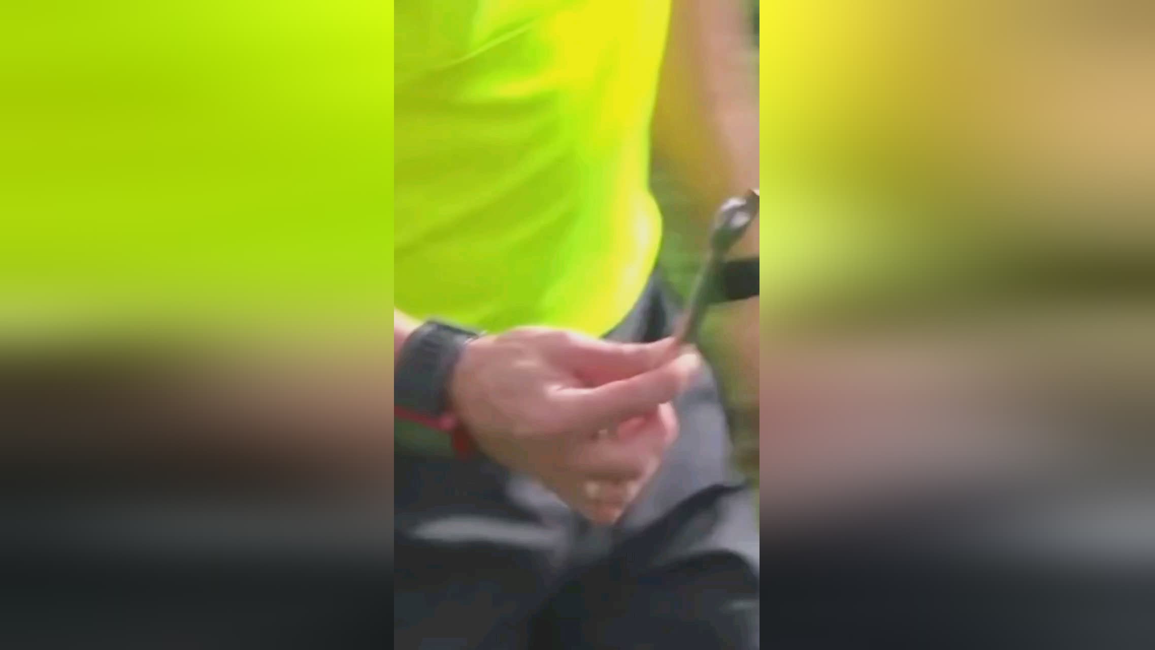 支持